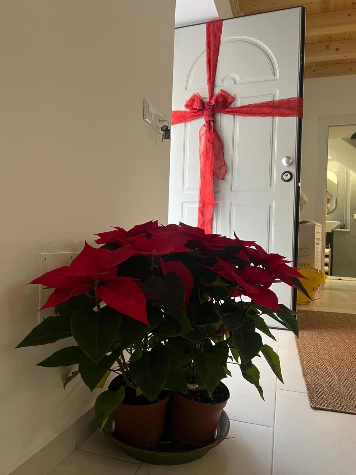 3124 Holiday home Catania